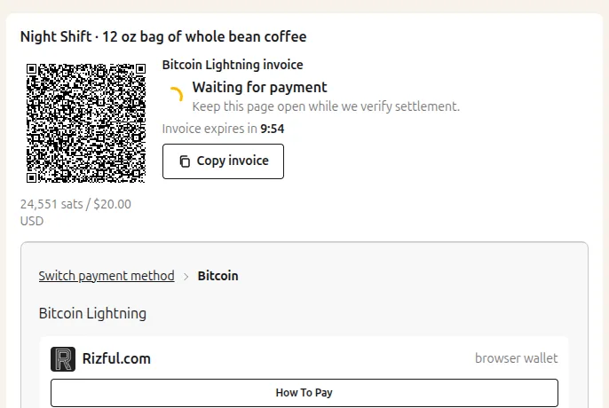 A Lightning invoice with its QR code, in the v0 shop's checkout